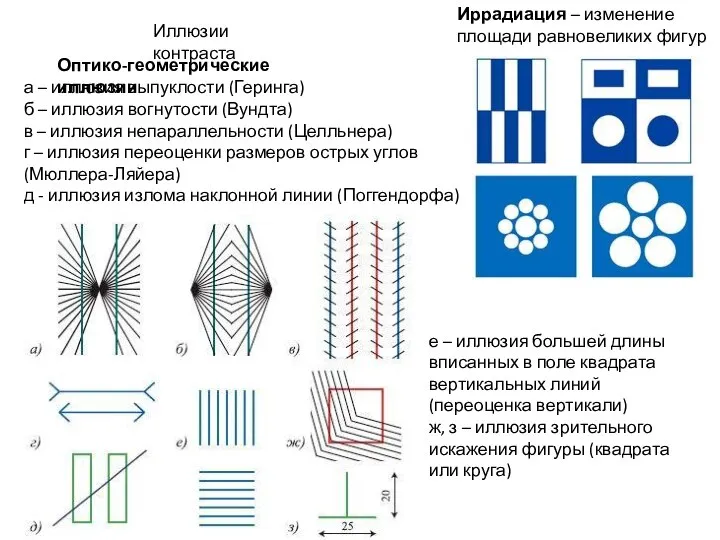 Иллюзии контраста Иррадиация – изменение площади равновеликих фигур а – иллюзия