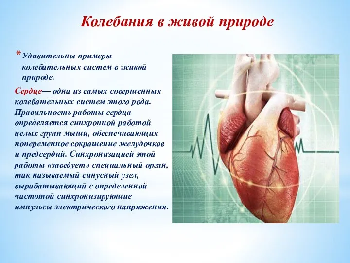 Колебания в живой природе Удивительны примеры колебательных систем в живой природе.