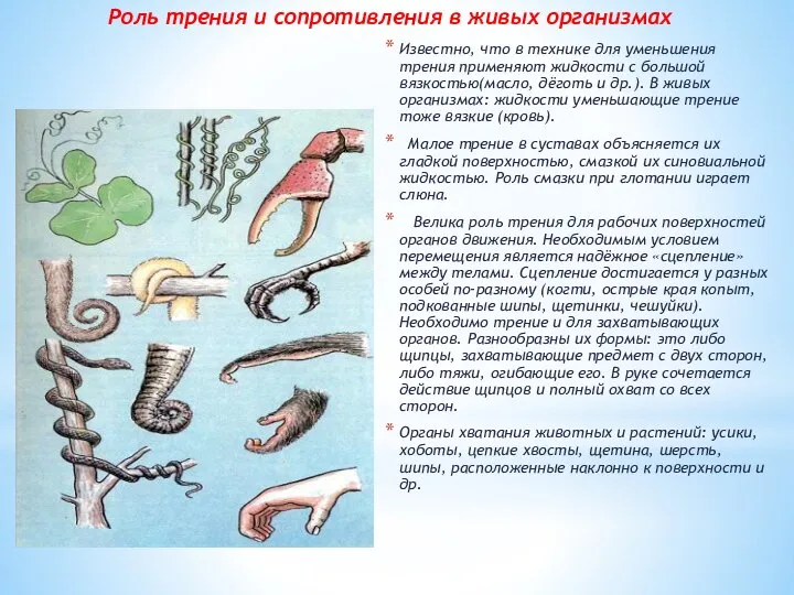 Роль трения и сопротивления в живых организмах Известно, что в технике