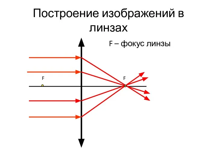 Построение изображений в линзах F F F – фокус линзы