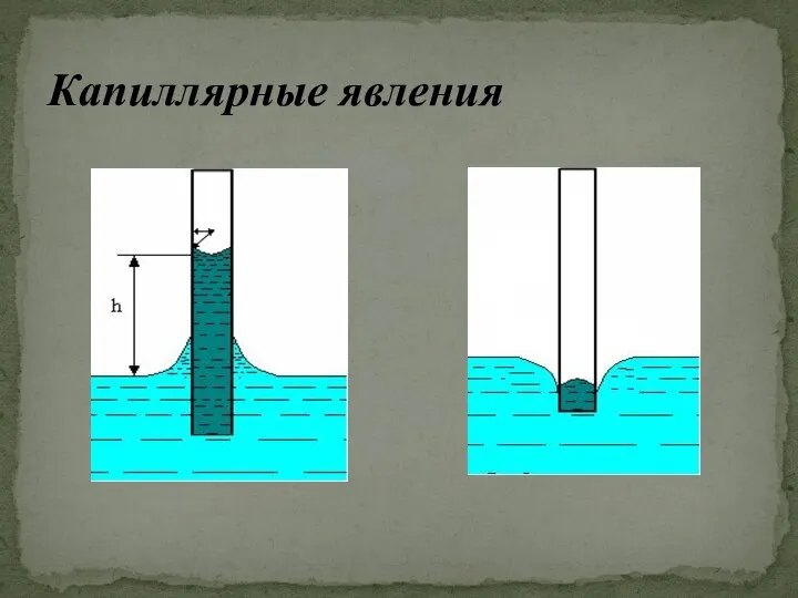 Капиллярные явления