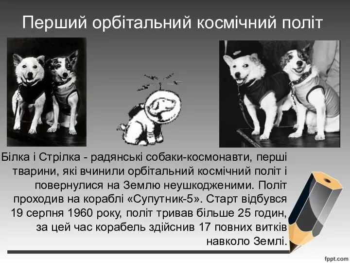 Перший орбітальний космічний політ Білка і Стрілка - радянські собаки-космонавти, перші