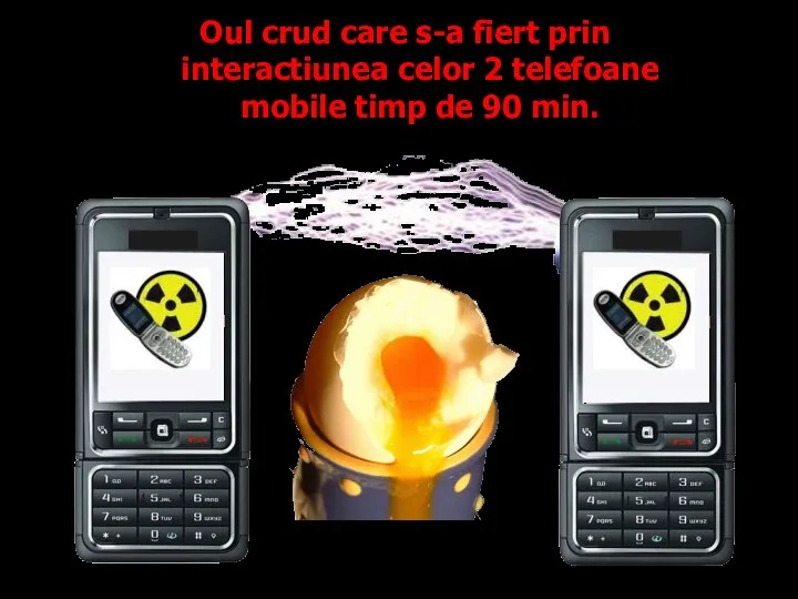 Oul crud care s-a fiert prin interactiunea celor 2 telefoane mobile timp de 90 min.