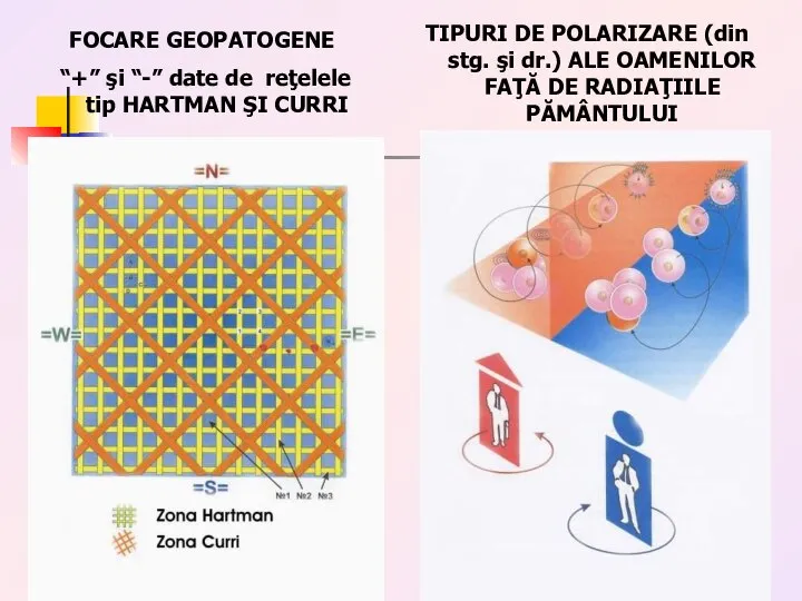 FOCARE GEOPATOGENE “+” şi “-” date de reţelele tip HARTMAN ŞI