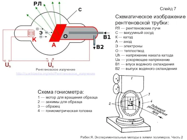 Слайд 7 Схематическое изображение рентгеновской трубки: РЛ — рентгеновские лучи С