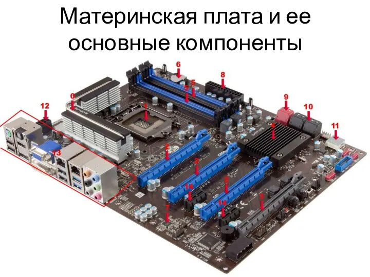 Материнская плата и ее основные компоненты