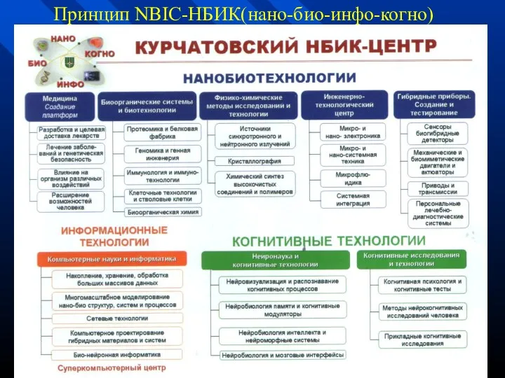 Принцип NBIC-НБИК(нано-био-инфо-когно)