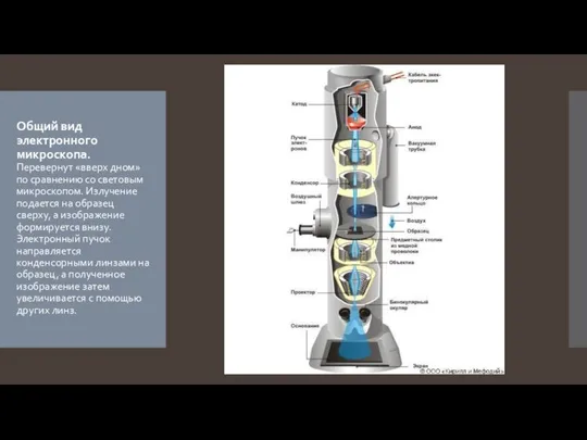 Общий вид электронного микроскопа. Перевернут «вверх дном» по сравнению со световым