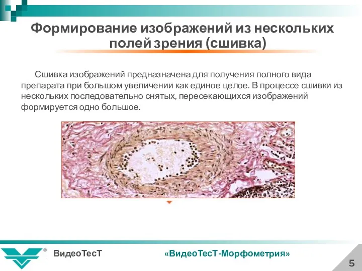 5 Формирование изображений из нескольких полей зрения (сшивка) Сшивка изображений предназначена