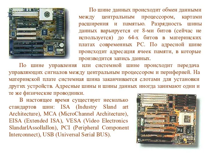 По шине данных происходит обмен данными между центральным процессором, картами расширения