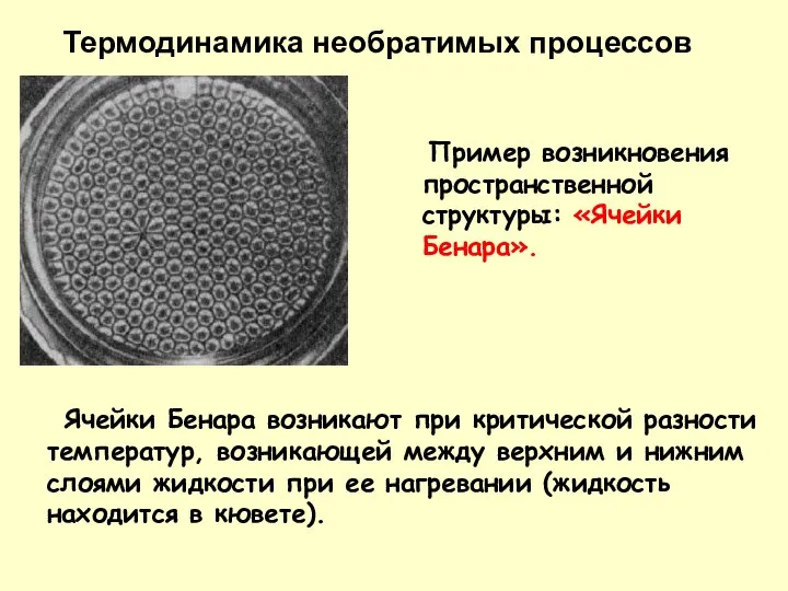 Пример возникновения пространственной структуры: «Ячейки Бенара». Ячейки Бенара возникают при критической