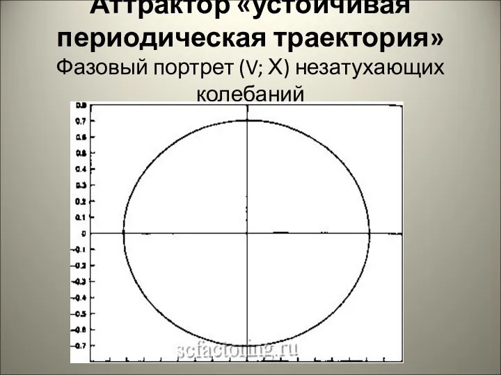 Аттрактор «устойчивая периодическая траектория» Фазовый портрет (V; Х) незатухающих колебаний