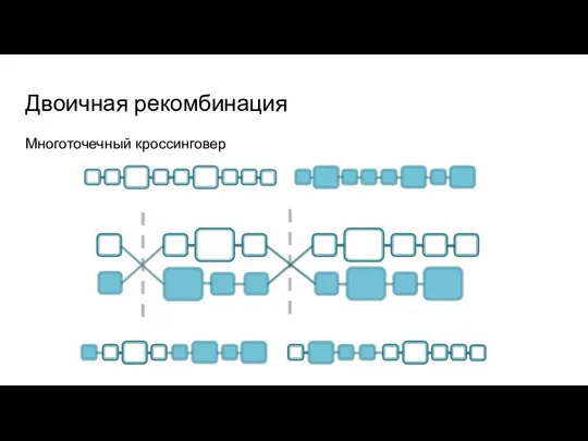 Двоичная рекомбинация Многоточечный кроссинговер