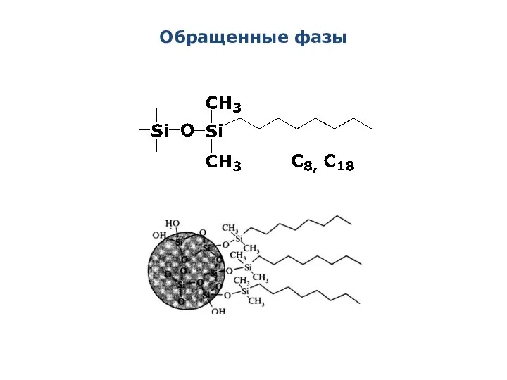 Обращенные фазы