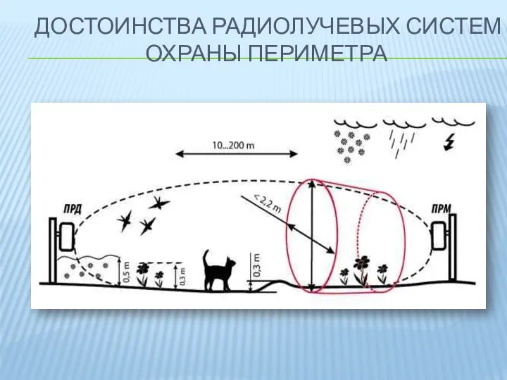 ДОСТОИНСТВА РАДИОЛУЧЕВЫХ СИСТЕМ ОХРАНЫ ПЕРИМЕТРА