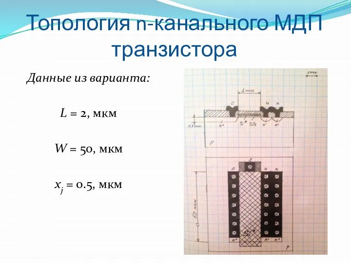 Топология n-канального МДП транзистора Данные из варианта: L = 2, мкм