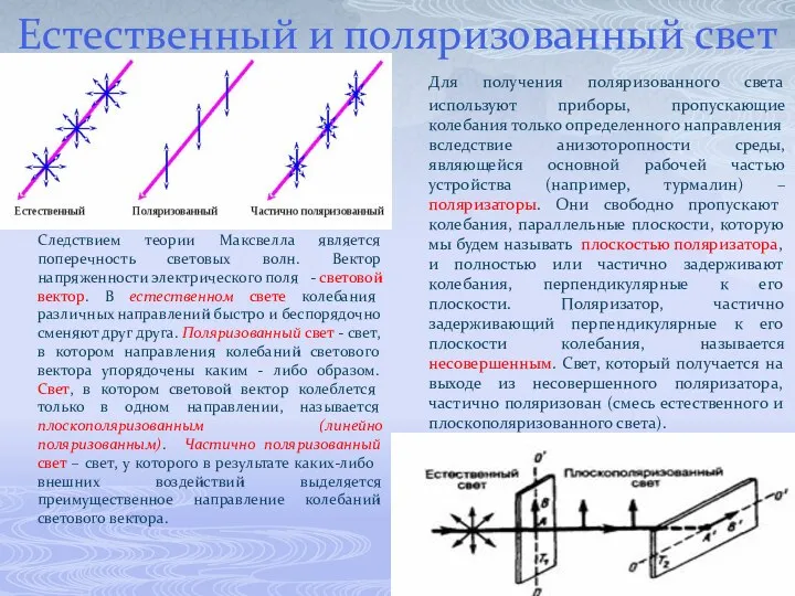 Естественный и поляризованный свет Следствием теории Максвелла является поперечность световых волн.