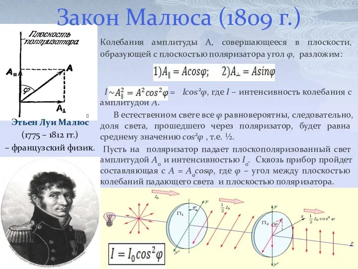 Этьен Луи Малюс (1775 – 1812 гг.) – французский физик. Колебания