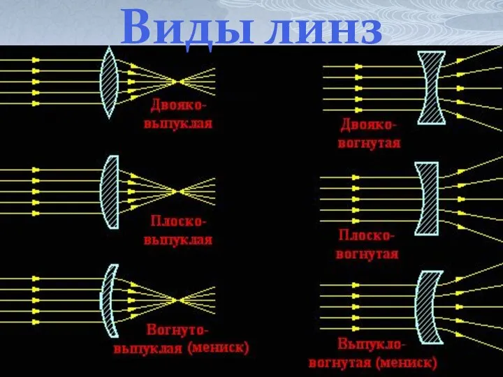 Виды линз