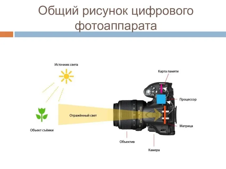 Общий рисунок цифрового фотоаппарата