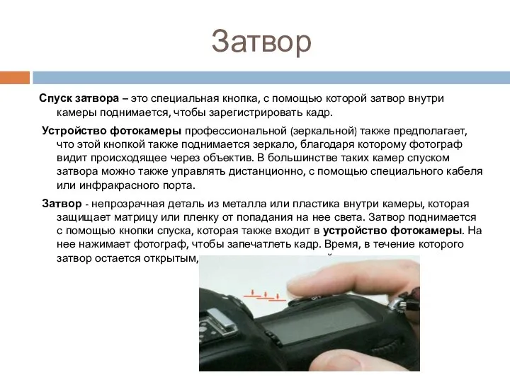 Затвор Спуск затвора – это специальная кнопка, с помощью которой затвор