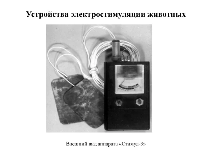 Устройства электростимуляции животных Внешний вид аппарата «Стимул-3»