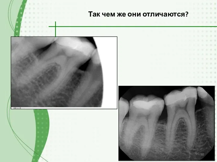 Так чем же они отличаются?