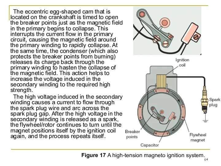 The eccentric egg-shaped cam that is located on the crankshaft is