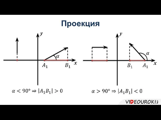 Проекция x y x y