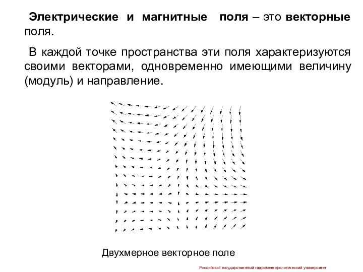 Электрические и магнитные поля – это векторные поля. В каждой точке