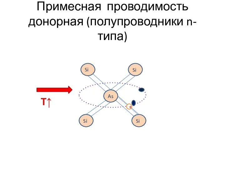 Примесная проводимость донорная (полупроводники n- типа) Si As Si Si Si T↑ +