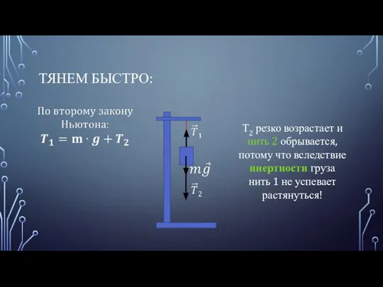 ТЯНЕМ БЫСТРО: Т2 резко возрастает и нить 2 обрывается, потому что