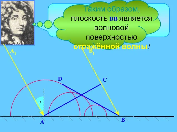 C α D В A В1 А1 Поверхность, касательная ко всем