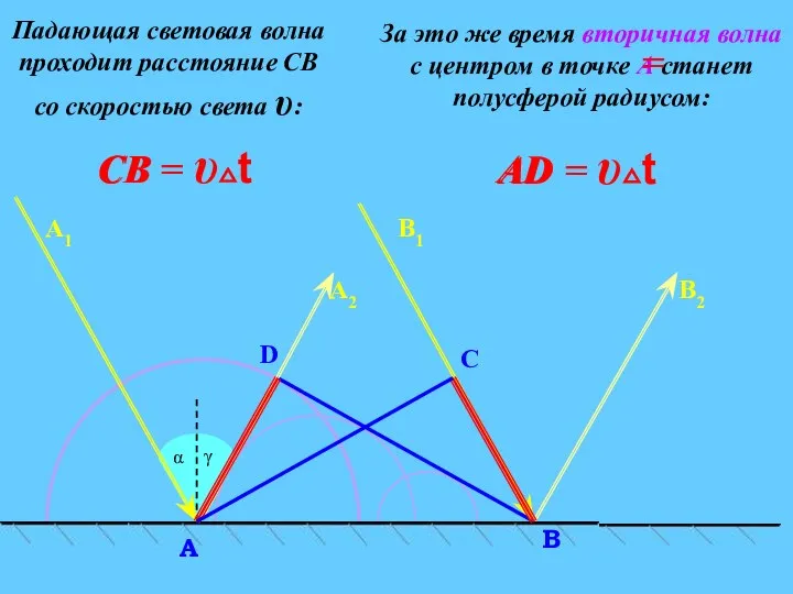 C α D В A А2 В2 Падающая световая волна проходит