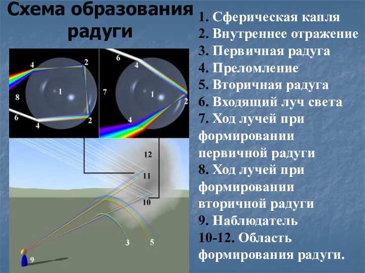 Схема образования радуги 1. Сферическая капля 2. Внутреннее отражение 3. Первичная