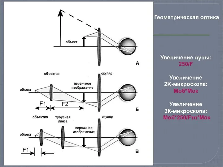 Геометрическая оптика Увеличение лупы: 250/F Увеличение 2K-микроскопа: Моб*Мoк Увеличение 3К-микроскопа: Мoб*250/Fтл*Moк