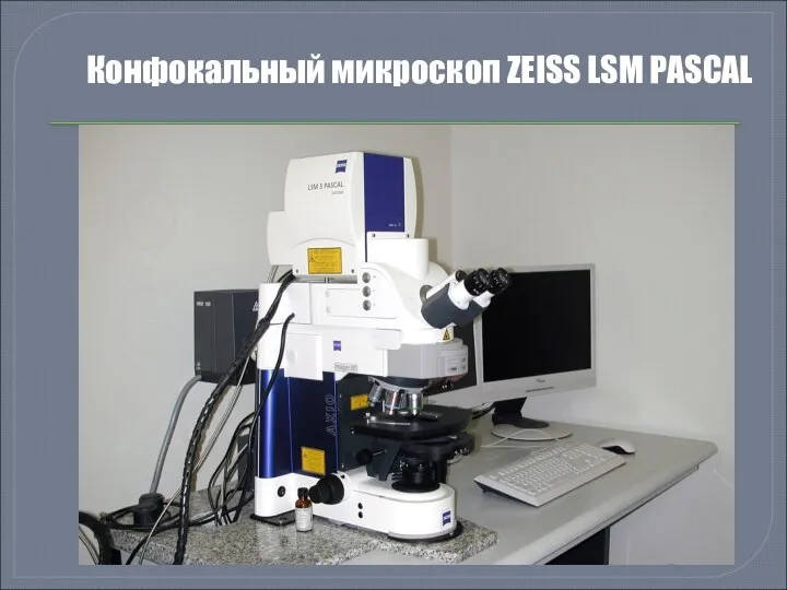 Конфокальный микроскоп ZEISS LSM PASCAL