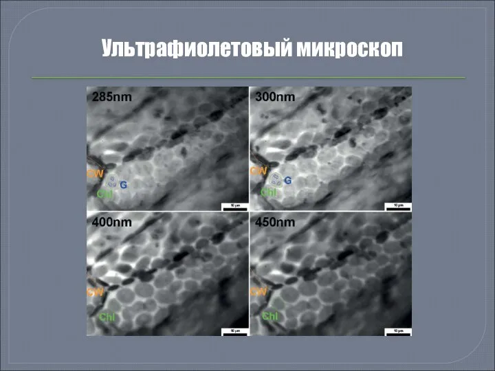 Ультрафиолетовый микроскоп