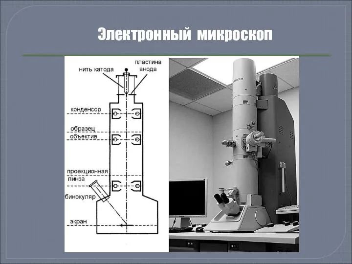 Электронный микроскоп