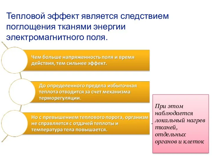 Тепловой эффект является следствием поглощения тканями энергии электромагнитного поля. . При