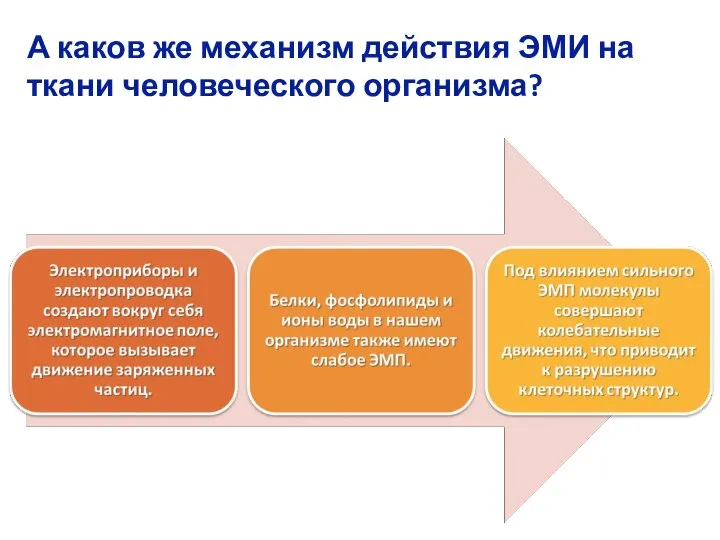 А каков же механизм действия ЭМИ на ткани человеческого организма?