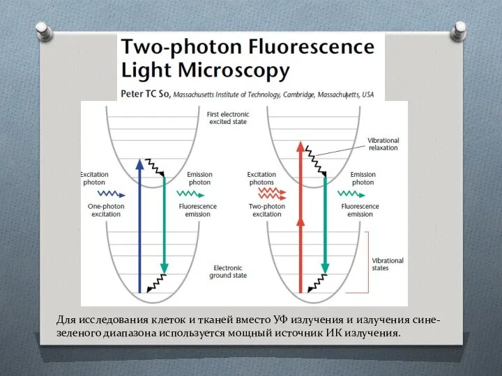 Для исследования клеток и тканей вместо УФ излучения и излучения сине-зеленого