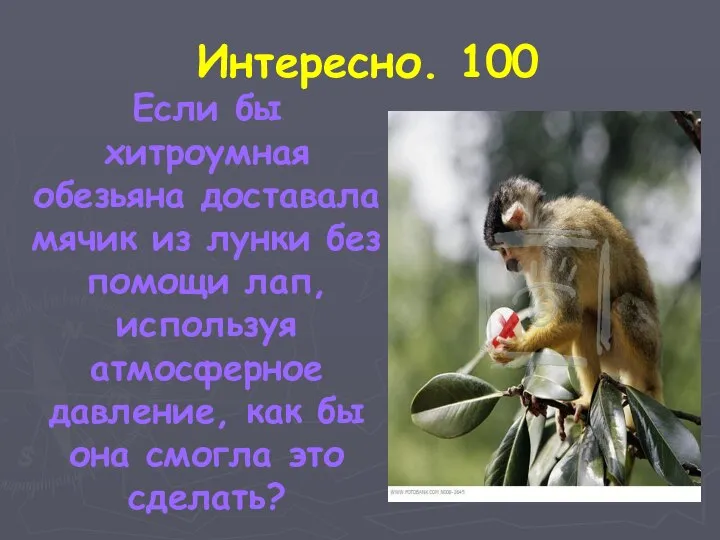 Интересно. 100 Если бы хитроумная обезьяна доставала мячик из лунки без