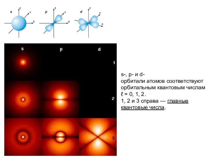 s-, p- и d- орбитали атомов соответствуют орбитальным квантовым числам ℓ