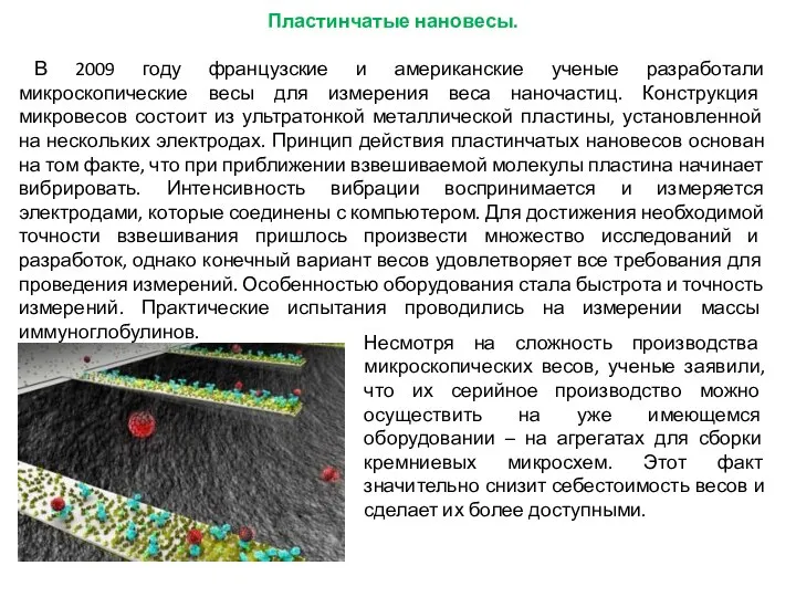 Пластинчатые нановесы. В 2009 году французские и американские ученые разработали микроскопические