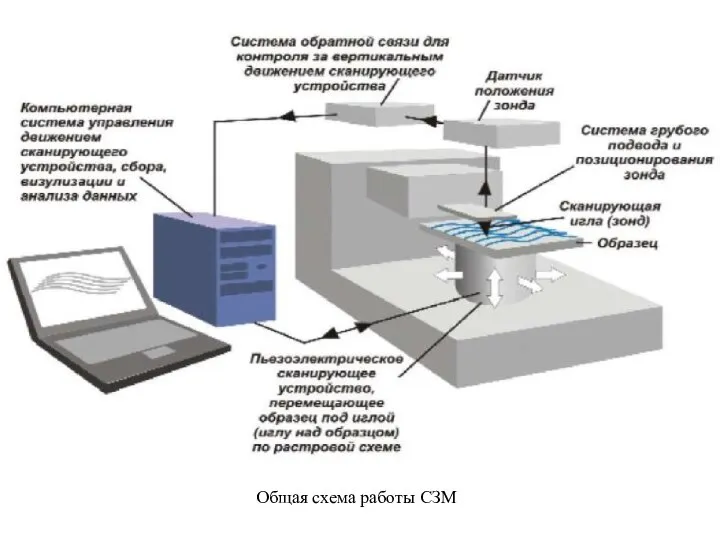 Общая схема работы СЗМ