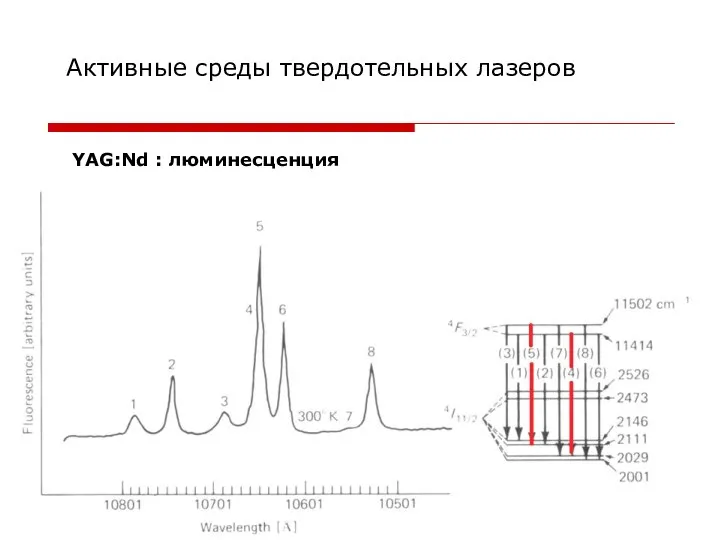 Активные среды твердотельных лазеров YAG:Nd : люминесценция