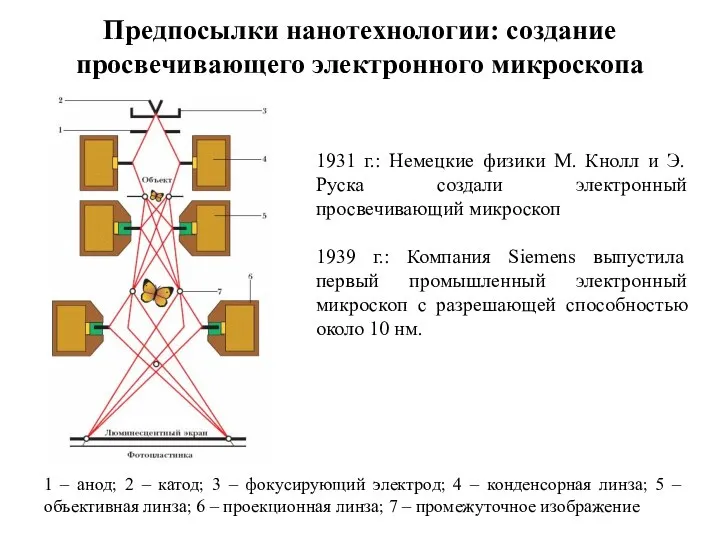 Предпосылки нанотехнологии: создание просвечивающего электронного микроскопа 1931 г.: Немецкие физики М.