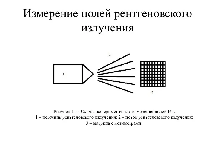 Измерение полей рентгеновского излучения Рисунок 11 – Схема эксперимента для измерения