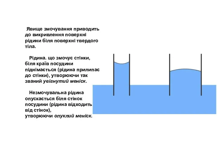 Явище змочування приводить до викривлення поверхні рідини біля поверхні твердого тіла.